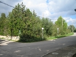 Creole1