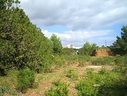 Creole3