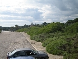 Lluc3